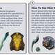 A sample of just a few of the grisly appendages included in the monster kit.